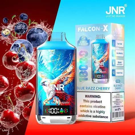 (10 Stück) JNR Falcon-X 18000 18K Puffs Einweg-Vape 2%