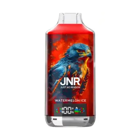 (10 Stück) JNR Falcon-X 18000 18K Puffs Einweg-Vape 2%