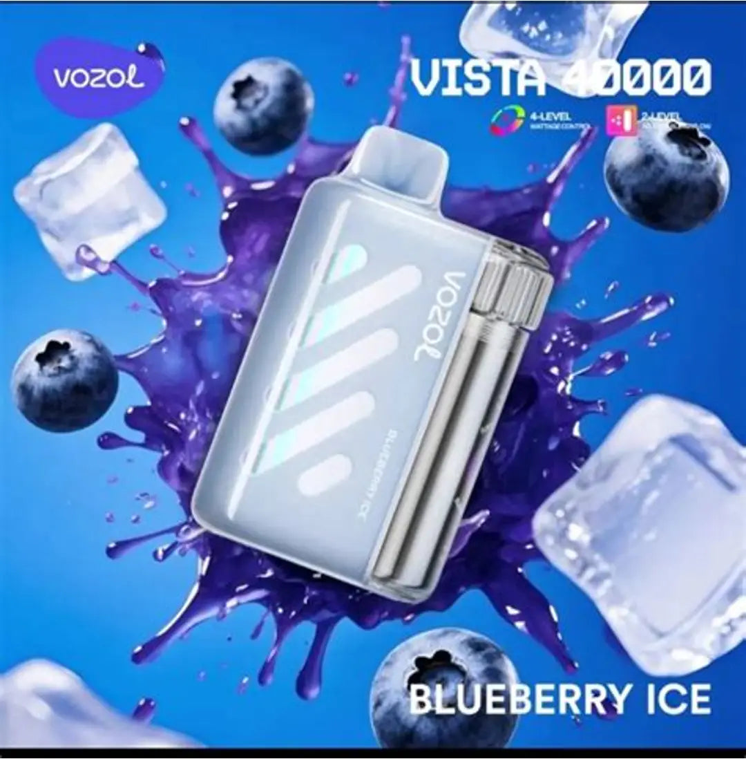 (10 Stück) VOZOL Vista 40000 40K Puffs Einweg-Vape 5%