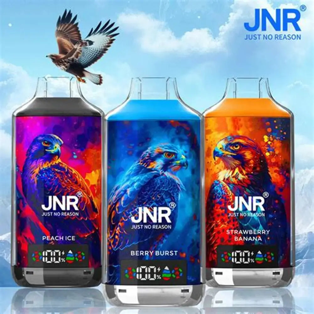 (10 Stück) JNR Falcon-X 18000 18K Puffs Einweg-Vape 2%