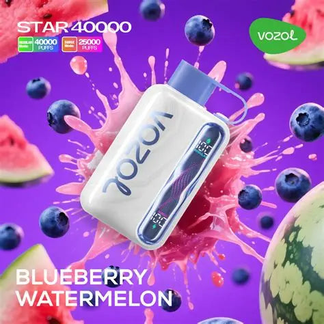 (10 Stück) VOZOL Star 40000 40K Puffs Einweg-Vape 5%   Aromen