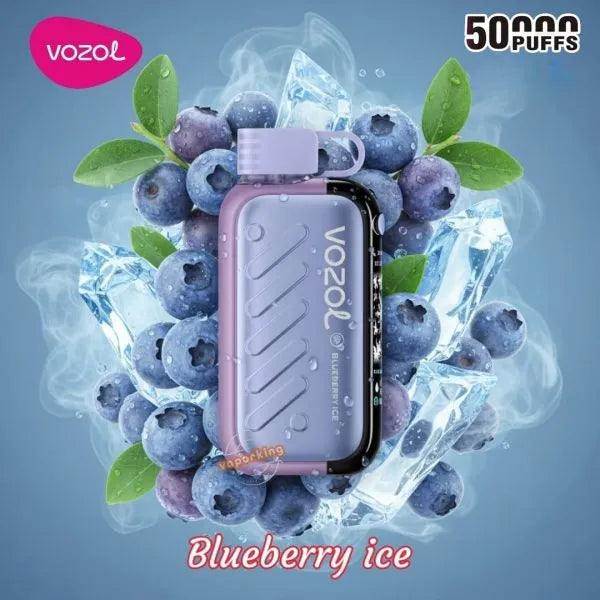 (10 Stück) VOZOL Gear Ice & Sweet 50000 50K Puffs Einweg-Vape 5%