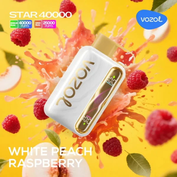 (10 Stück) VOZOL Star 40000 40K Puffs Einweg-Vape 5%   Aromen